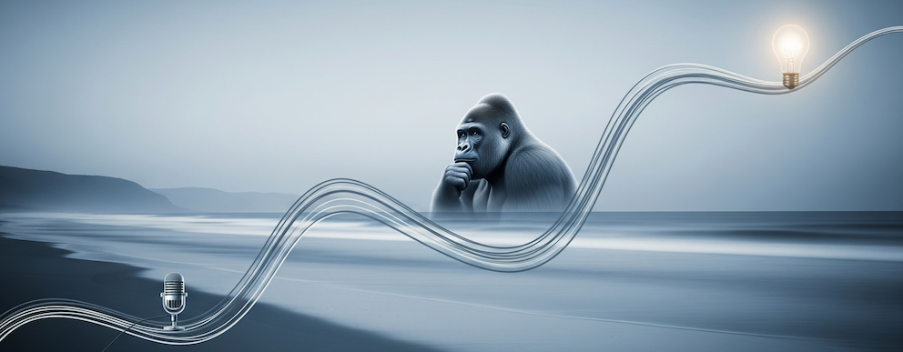 The Final Pitch: Making an Informed Decision